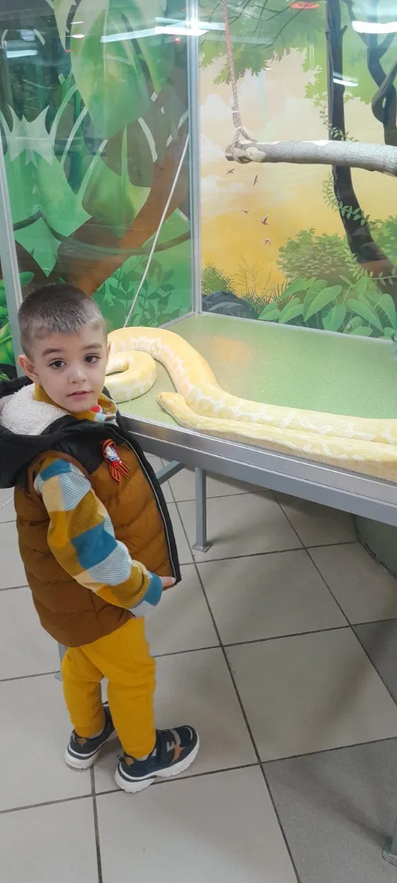 Смотреть фотографию